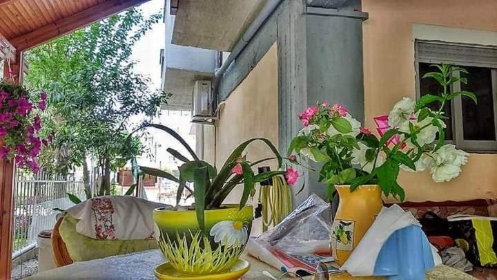Holiday home Haris *